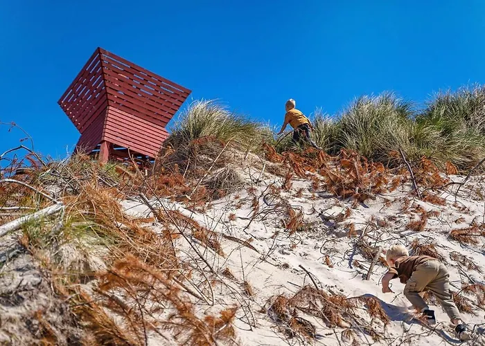 4 Person In * 블록쿠스